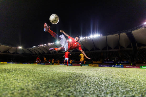 最终绽放属 最终绽放属